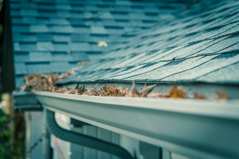 3 Roof Problems That Require Professional Attention