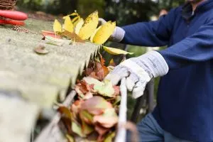 Roof Cleaning