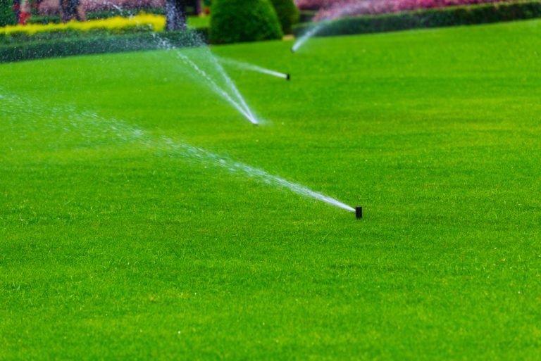 The Importance of Having an Irrigation System