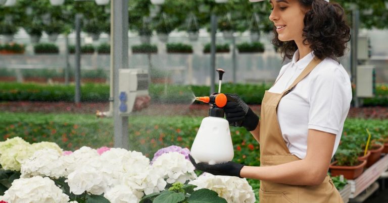 What Can You Do With a Greenhouse