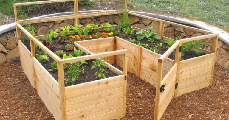 Techniques To Protect Your Garden
