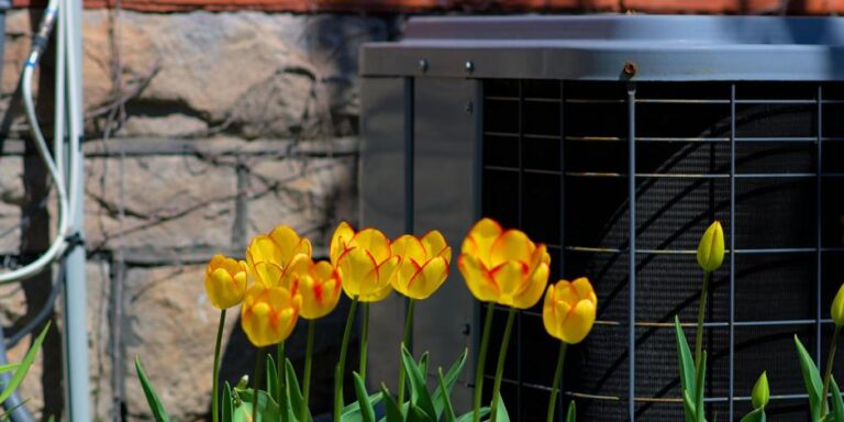HVAC Maintenance